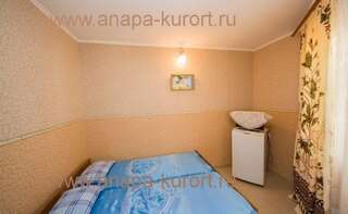 Гостиница Guesthouse Novosolov Анапа Двухместный номер с 2 отдельными кроватями-19