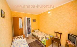 Гостиница Guesthouse Novosolov Анапа Двухместный номер с 2 отдельными кроватями-37