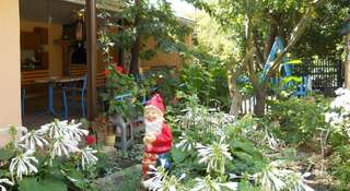 Гостиница Guesthouse Novosolov Анапа Двухместный номер с 2 отдельными кроватями-55