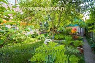 Гостиница Guesthouse Novosolov Анапа Двухместный номер с 2 отдельными кроватями-57