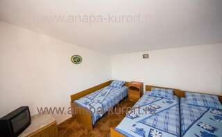 Гостиница Guesthouse Novosolov Анапа Двухместный номер с 2 отдельными кроватями-22