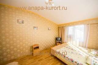 Гостиница Guesthouse Novosolov Анапа Двухместный номер с 2 отдельными кроватями-67