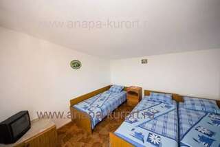 Гостиница Guesthouse Novosolov Анапа Двухместный номер с 2 отдельными кроватями-62