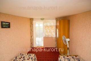 Гостиница Guesthouse Novosolov Анапа Двухместный номер с 2 отдельными кроватями-65
