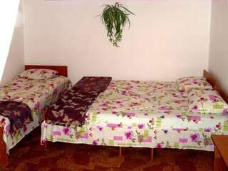 Гостиница Guesthouse Novosolov Анапа Двухместный номер с 2 отдельными кроватями-79