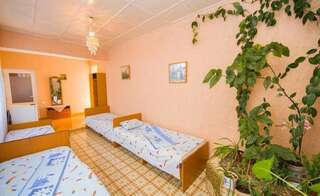 Гостиница Guesthouse Novosolov Анапа Двухместный номер с 2 отдельными кроватями-21