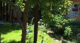 Гостиница Guesthouse Novosolov Анапа Двухместный номер с 2 отдельными кроватями-83